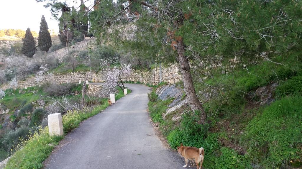 Rosary Sister Guest House Ein Karem Jeruzsálem Kültér fotó