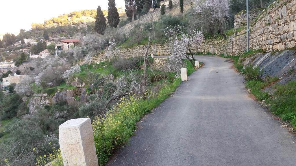 Rosary Sister Guest House Ein Karem Jeruzsálem Kültér fotó